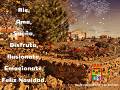 FELIZ NAVIDAD 2017